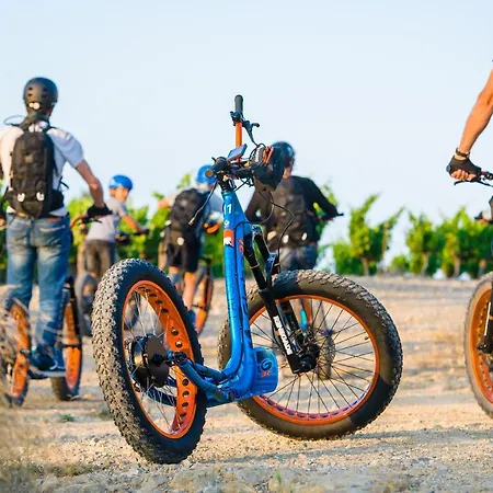 Otel Chateau L'hospitalet Wine & 5*