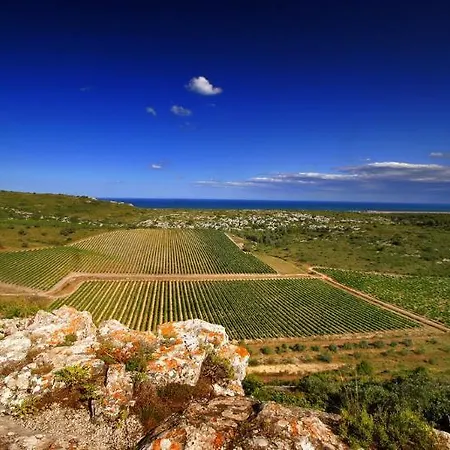 Château L'hospitalet Wine Beach&spa