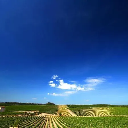 Chateau L'hospitalet Wine & Отель 5*