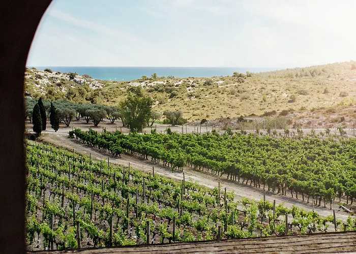Hotel Château L'hospitalet Wine Beach&spa 5*