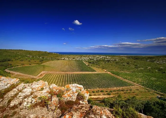 Chateau L'hospitalet Wine &