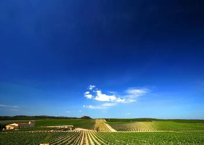 Chateau L'hospitalet Wine & Отель 5*